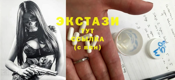индика Беломорск