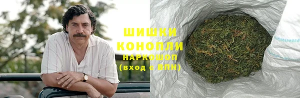 индика Беломорск