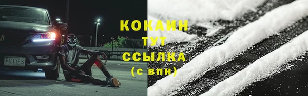 индика Беломорск