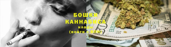индика Беломорск