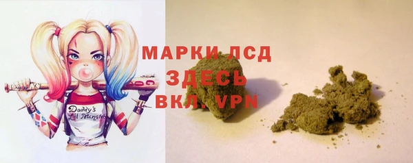 индика Беломорск