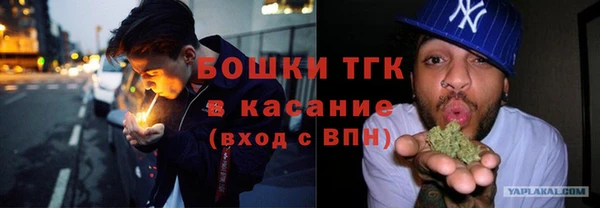 индика Беломорск