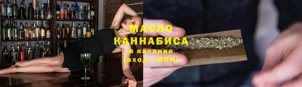 индика Беломорск