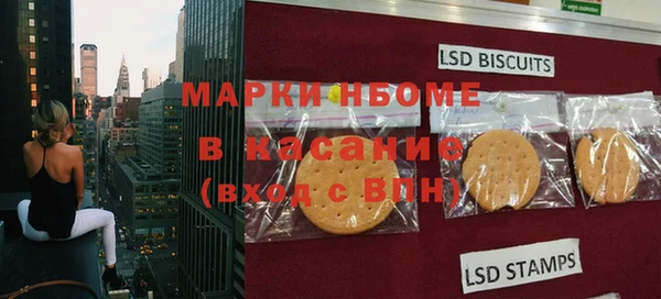 индика Беломорск