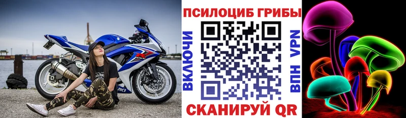 как найти закладки  Верхотурье  кракен вход  Псилоцибиновые грибы ЛСД 
